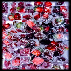 Fruit & Herbs Embeded Ice